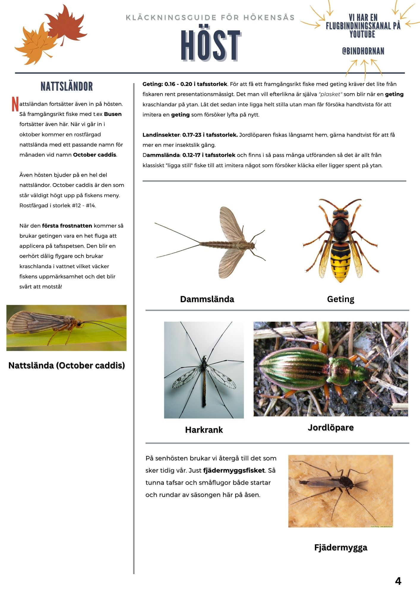 Höstkläckningsguide med bilder på flugor och insekter som används i flugfiske.