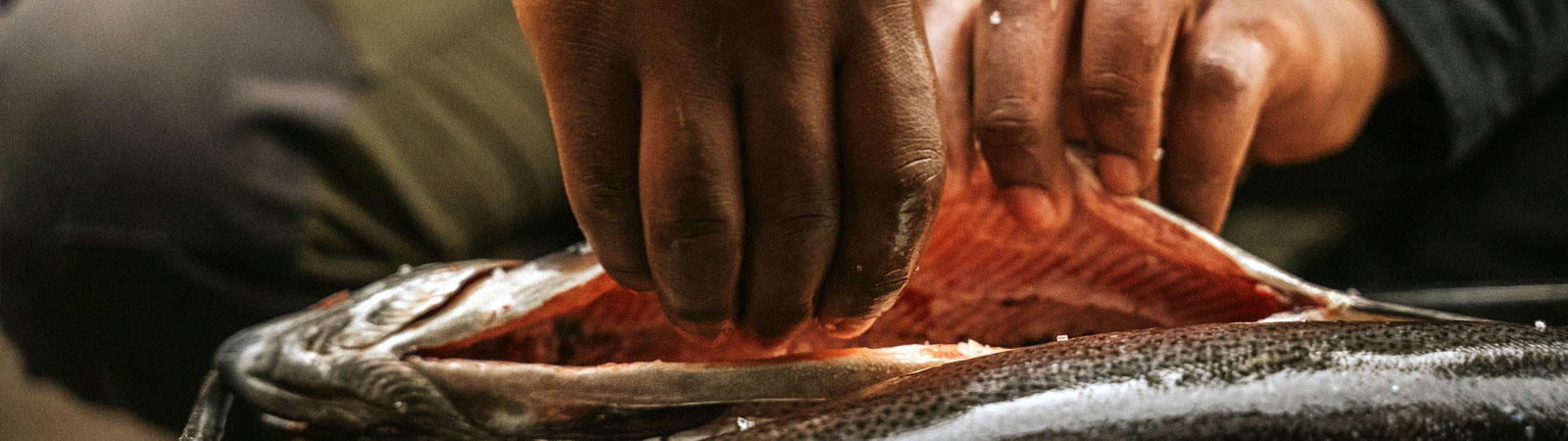 Handen av en fiskare som tar ut en regnbåge från en nyfiskad regnbåge.