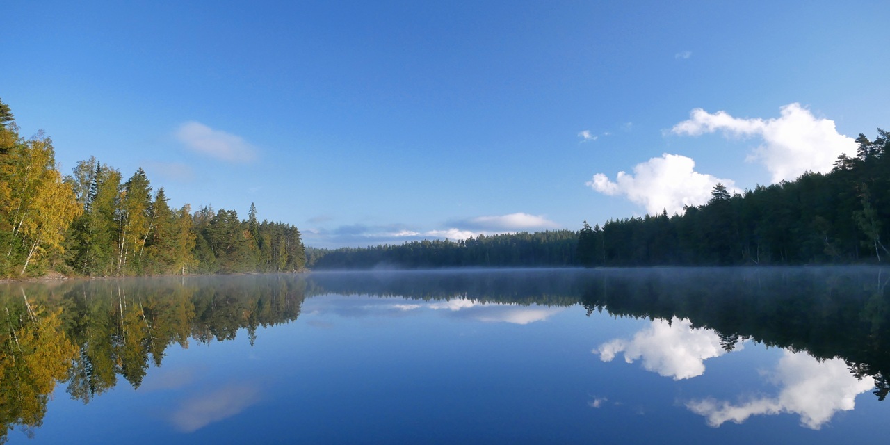 En stilla sjö med spegelblank yta reflekterar träd och blå himmel med vita moln.