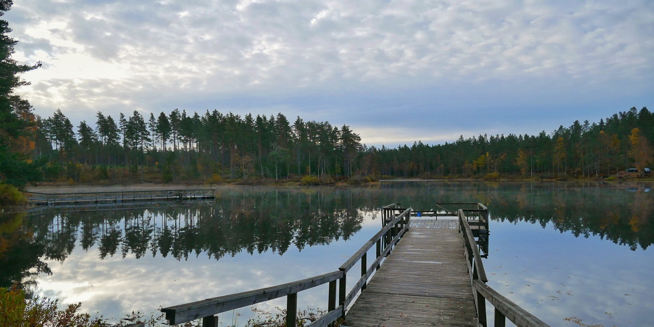 En träbro leder över ett stilla sjölandskap med spegelblankt vatten och skog i bakgrunden.