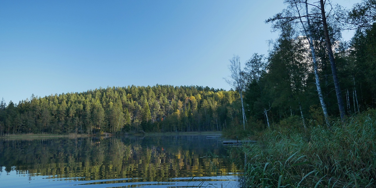 Stilfullt vattenlandskap med skog och reflektioner under klarblå himmel.