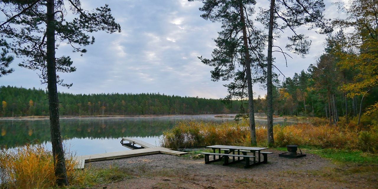 Stilfullt fiskeplats vid sjö med träbrygga, bänk och tallar i höstfärg.