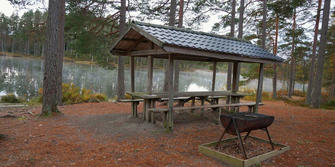En trästuga vid sjö med grill och bänkar i skogsmiljö.