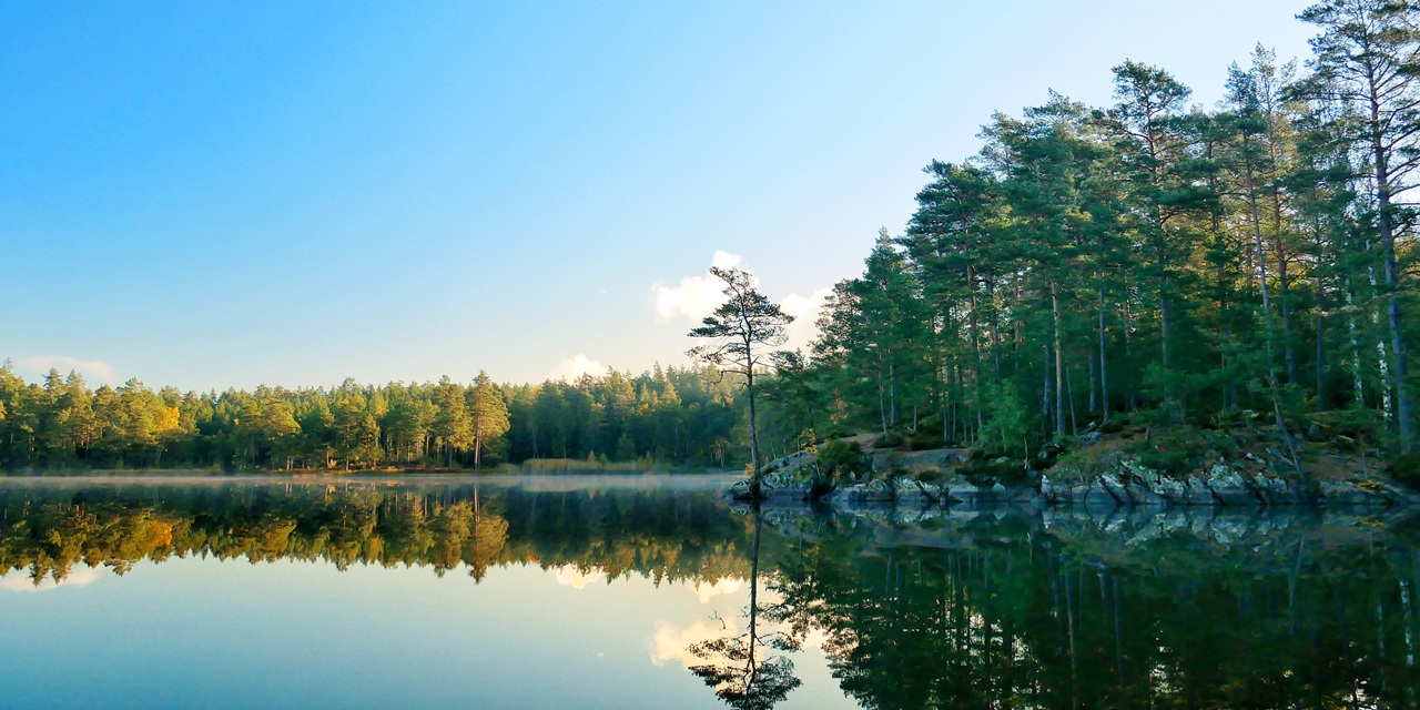 En stilla sjö med spegelblank yta reflekterar träd och himmel i en skogsmiljö under klarblå himmel.