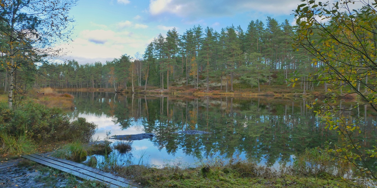 Stilfullt vinterlandskap med stilla sjö, reflekterande träd och en träbro i förgrunden.
