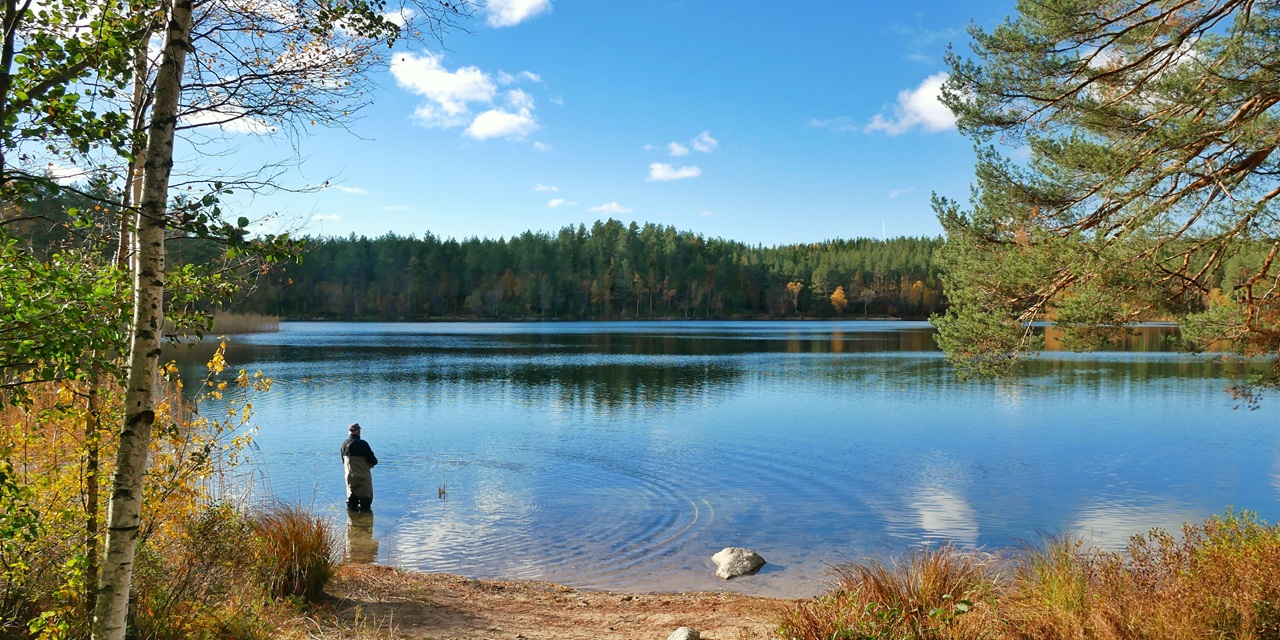 En fiskare står i vatten vid en stilla sjö omgiven av höstfärgad skog och blå himmel.