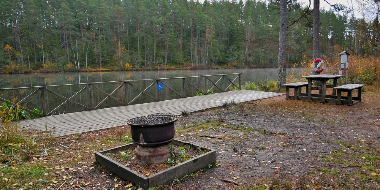 En träbro över en stilla sjö med grill och bänk i skogen under höstens färger.