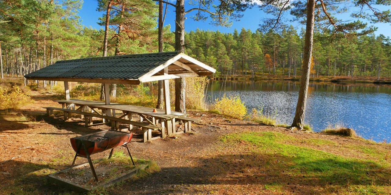 En träbänk under tak vid en stilla sjö i en solig skog.