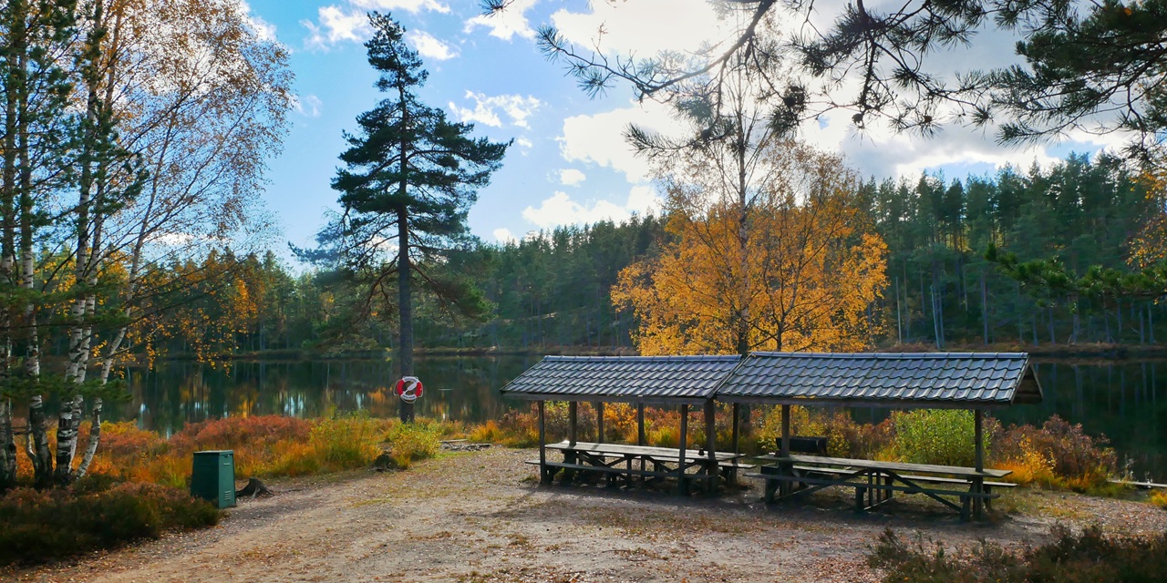 Höstdag vid sjö med picknickbänkar, gula löv och blå himmel.