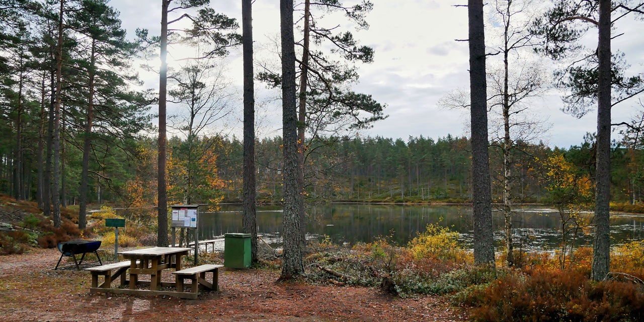 Skogsbild med träbänk, grill och sjö i bakgrunden under höstens färger.