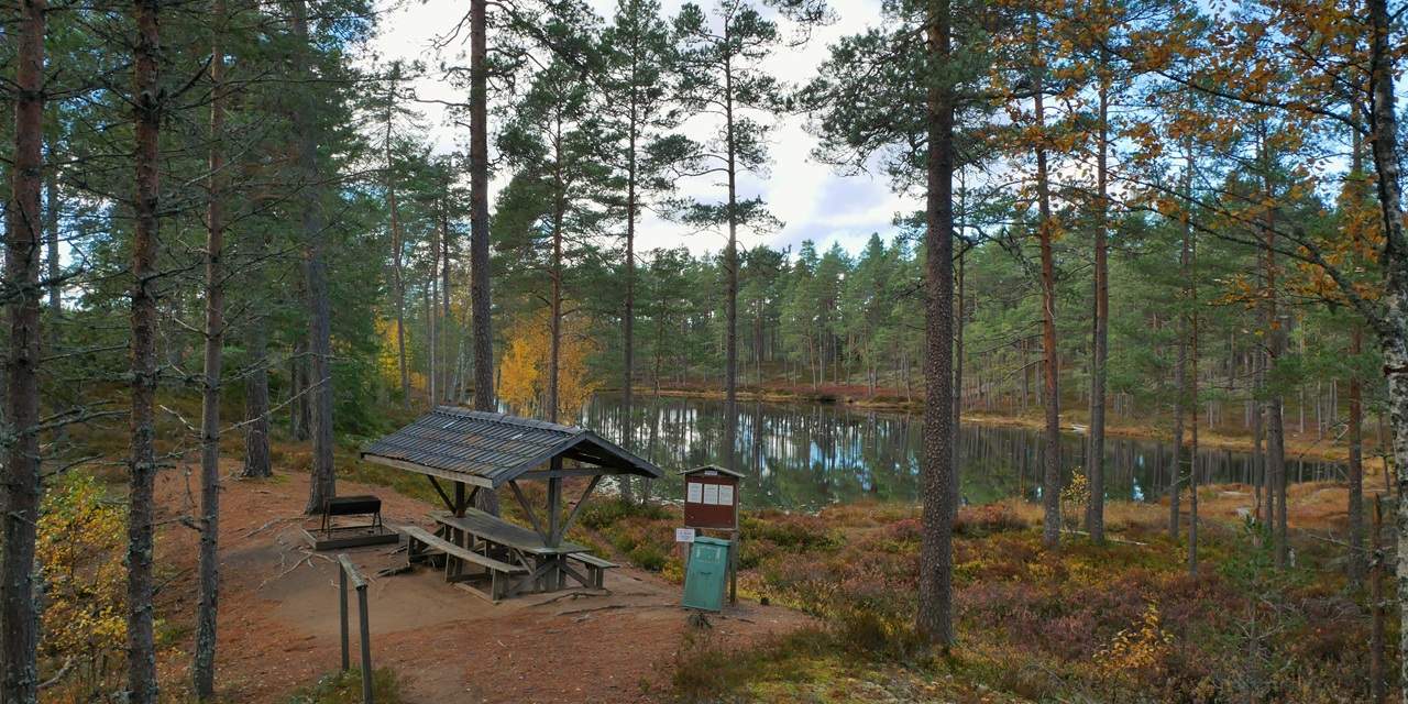Skogsbild med stuga, bänk och sjö i höstfärgerna