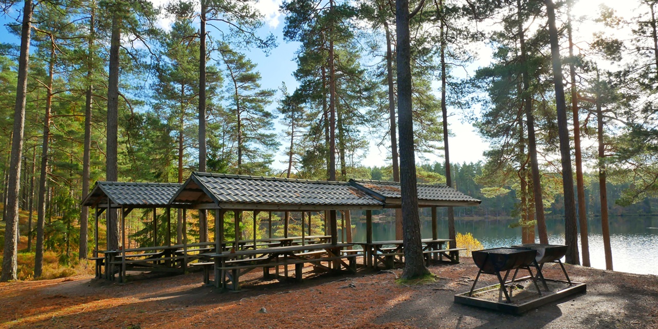 Solig picknickplats vid sjö med trästall och grill under tallar
