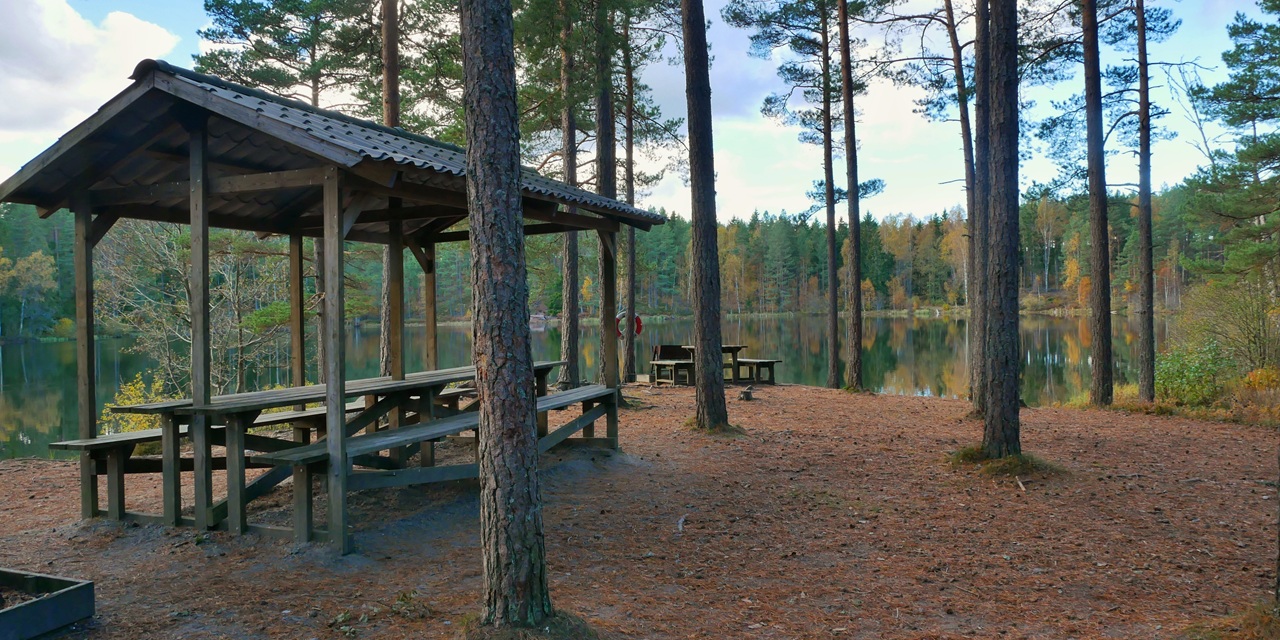 En trähylla vid sjöns kant i en tallskog, med bänkar och spegelblank vatten i bakgrunden.