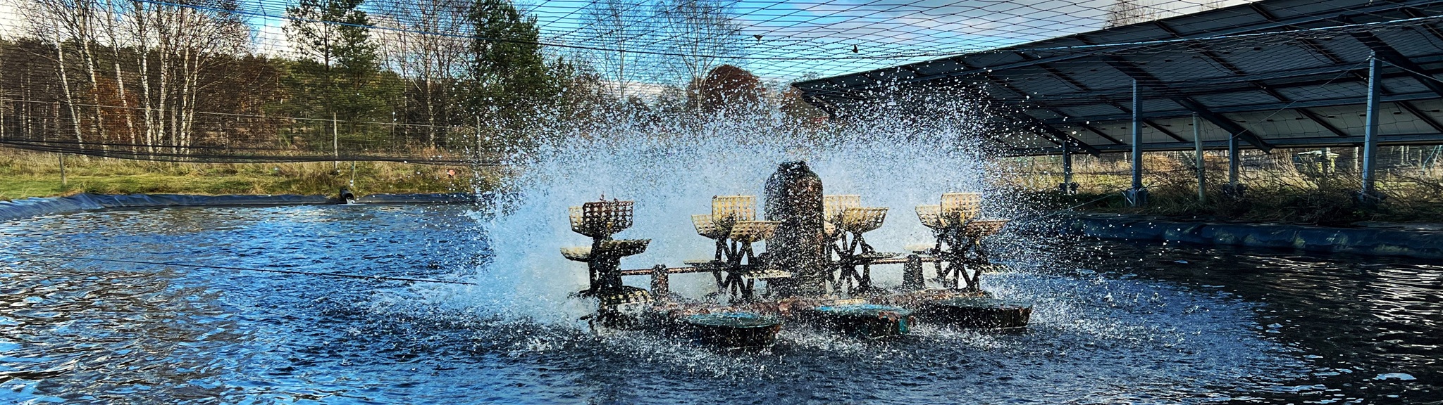 En vattenpump skapar en kraftig vattenspärr i en fiskebassäng under en klar himmel.