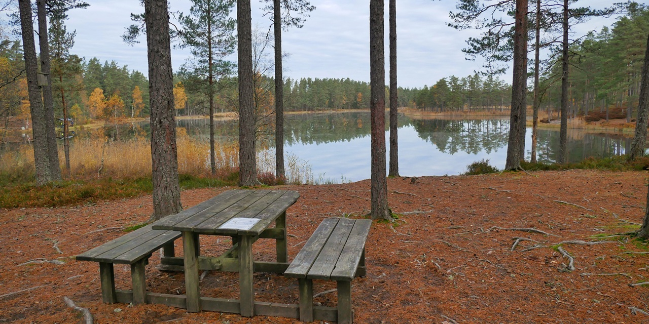 En träbänk och bord i en skog vid en stilla sjö med reflexioner och höstfärgade träd.